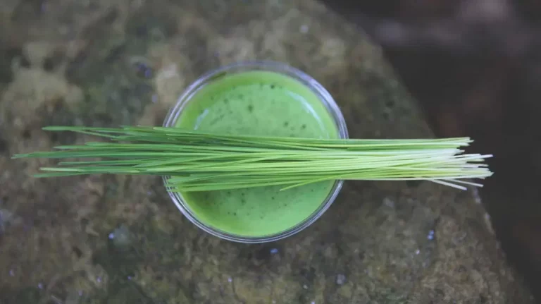 wheatgrass-shot-1296x728