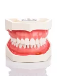 Germ-Free Teeth