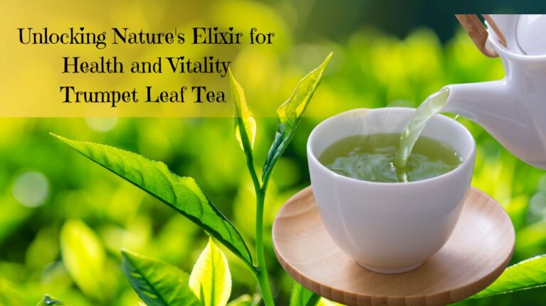 Trumpet Leaf Tea benefits